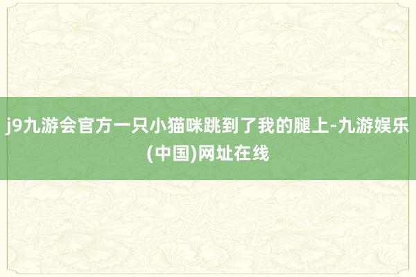 j9九游会官方一只小猫咪跳到了我的腿上-九游娱乐(中国)网址在线