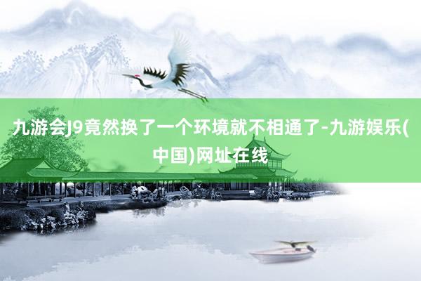 九游会J9竟然换了一个环境就不相通了-九游娱乐(中国)网址在线