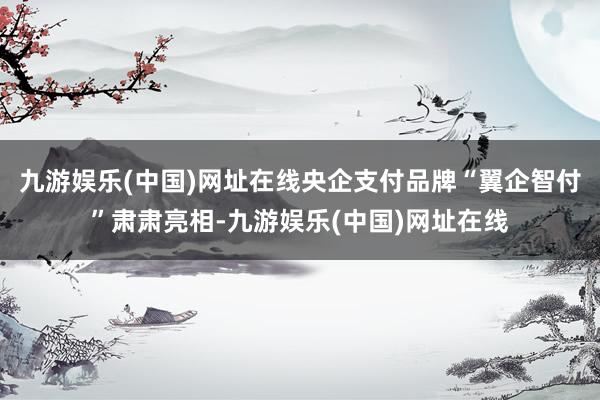 九游娱乐(中国)网址在线央企支付品牌“翼企智付”肃肃亮相-九游娱乐(中国)网址在线