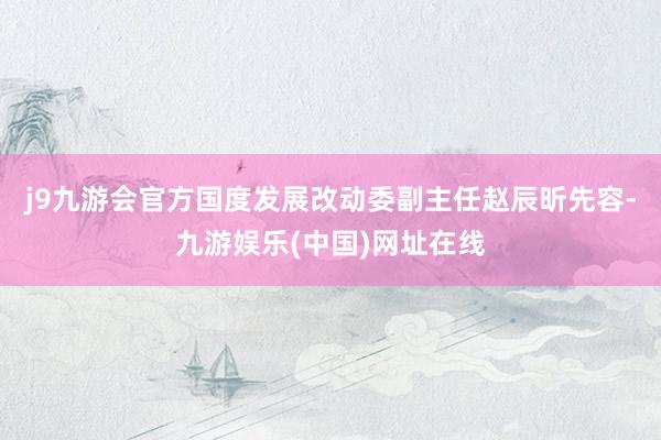 j9九游会官方国度发展改动委副主任赵辰昕先容-九游娱乐(中国)网址在线