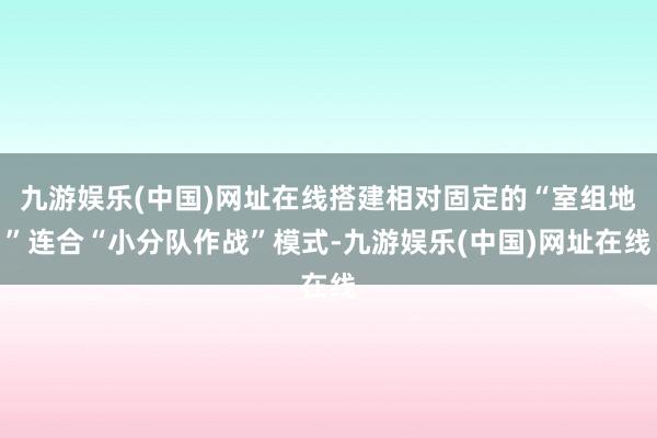 九游娱乐(中国)网址在线搭建相对固定的“室组地”连合“小分队作战”模式-九游娱乐(中国)网址在线