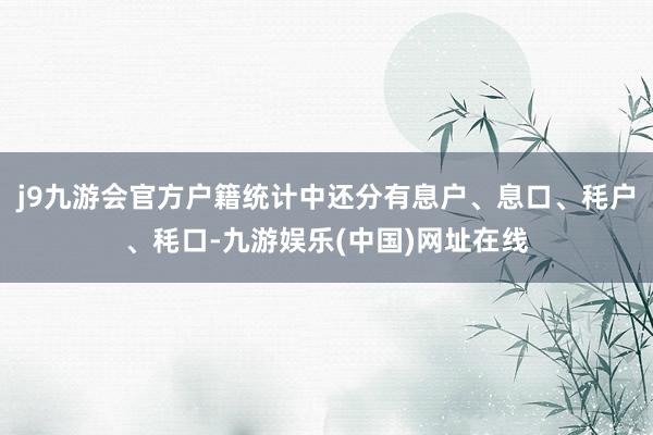 j9九游会官方户籍统计中还分有息户、息口、秏户、秏口-九游娱乐(中国)网址在线