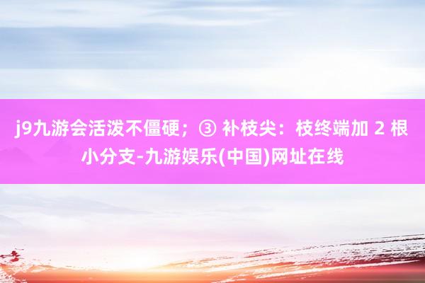 j9九游会活泼不僵硬；③ 补枝尖：枝终端加 2 根小分支-九游娱乐(中国)网址在线